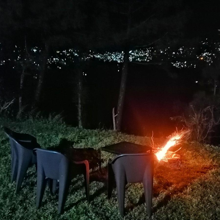 The City Escape Farmstay 西姆拉 外观 照片